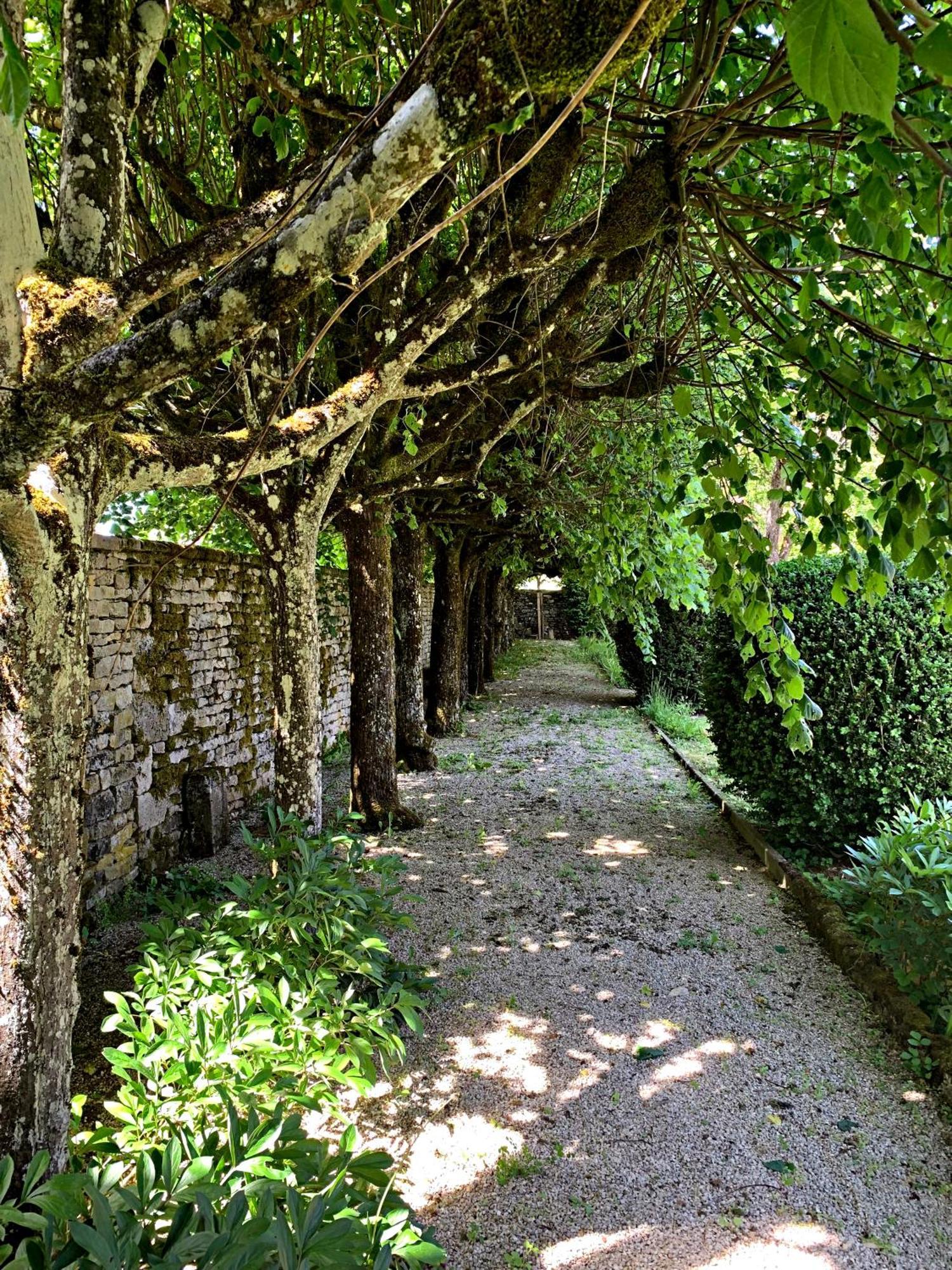Le Clos Du Marronnier Rivieres-les-Fosses Zewnętrze zdjęcie